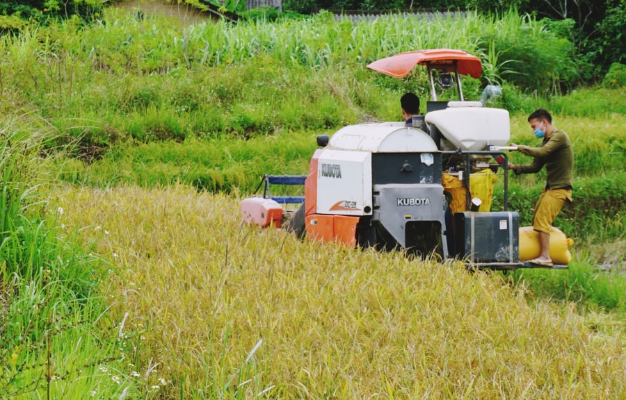 Quảng Ninh nâng cao hiệu quả các dự án giảm nghèo bền vững