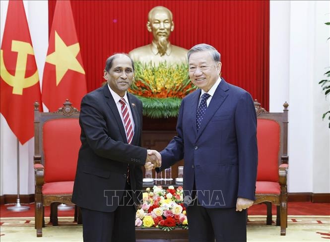 Tổng Bí thư Tô Lâm tiếp Đại sứ Singapore đến chào từ biệt