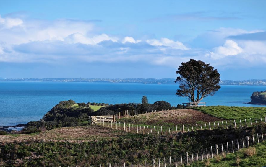 New Zealand miễn thị thực cho du khách Trung Quốc khi nhập cảnh từ Úc