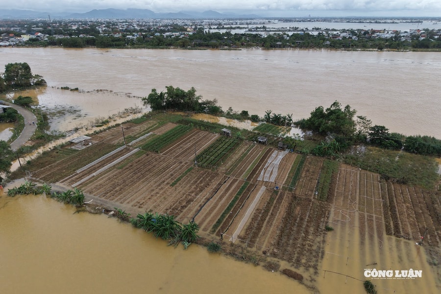 Làng hoa Phú Mậu (TP Huế): Khi sắc Xuân còn dang dở giữa dòng nước bạc