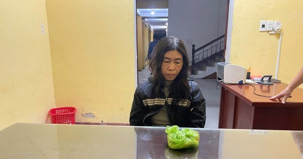 Tranh thủ lúc cô đi chợ, cháu ruột lẻn vào nhà lấy 7,9 lượng vàng