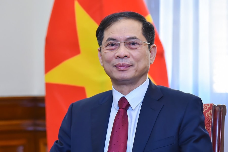 Phó Thủ tướng Chính phủ Bùi Thanh Sơn nhận thêm nhiệm vụ