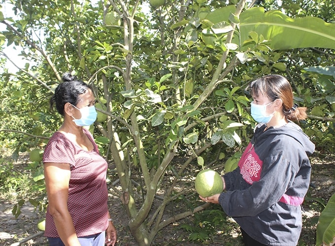 Khánh Hòa đặt mục tiêu giảm nghèo đa chiều xuống dưới 1% vào cuối năm 2025