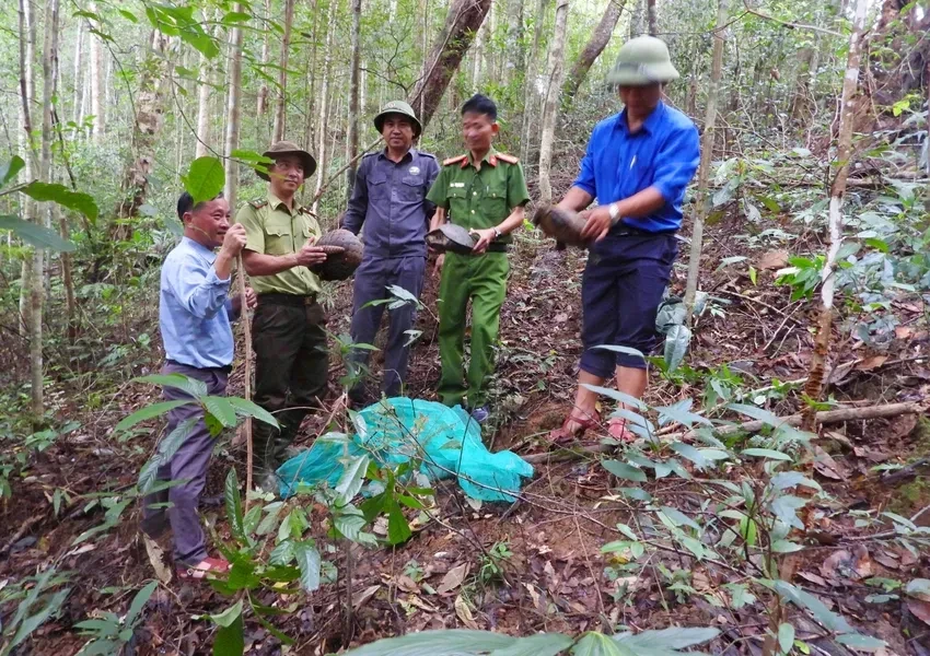 Siết chặt quản lý, bảo vệ động vật hoang dã và nguồn lợi thủy sản
