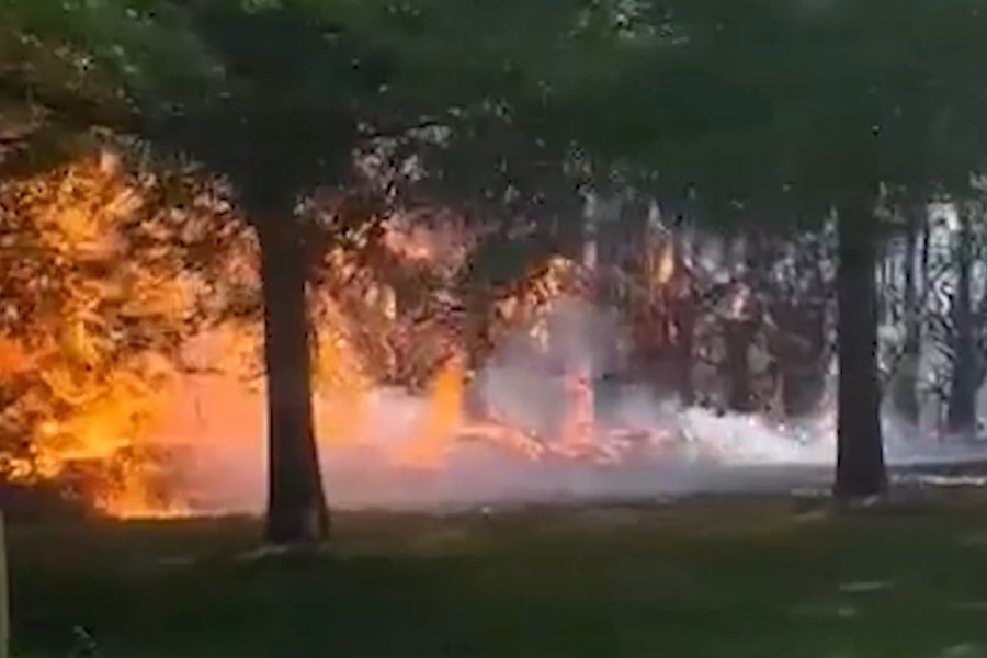 Cháy rừng nghiêm trọng, New Zealand điều thêm máy bay ứng phó