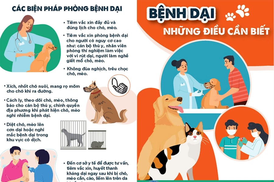 Bộ Y tế cảnh báo nguy cơ, kêu gọi các địa phương đẩy mạnh tiêm phòng và quản lý đàn chó mèo