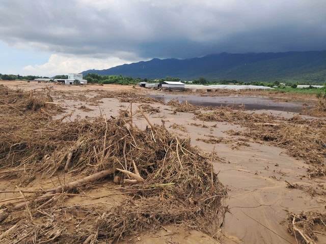Khởi tố vụ án vỡ hồ chứa nước trên núi Tân Lai tỉnh Lâm Đồng