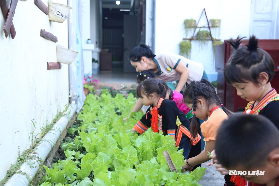 Thu nhập giáo viên trở nên lạc hậu so với giá trị công việc và mức sống tối thiểu