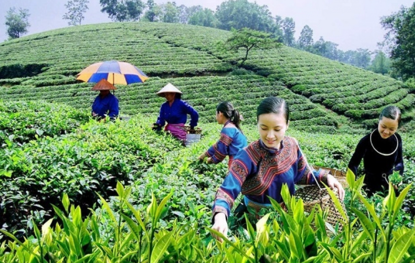 Lào Cai kiến tạo mô hình nông thôn 'xanh - số - hiện đại' giai đoạn 2026 - 2030