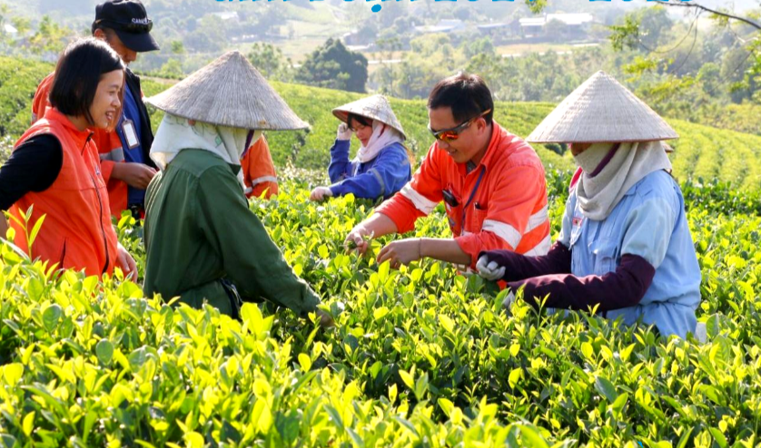 Truyền thông- "trụ cột mềm" trong công tác giảm nghèo bền vững