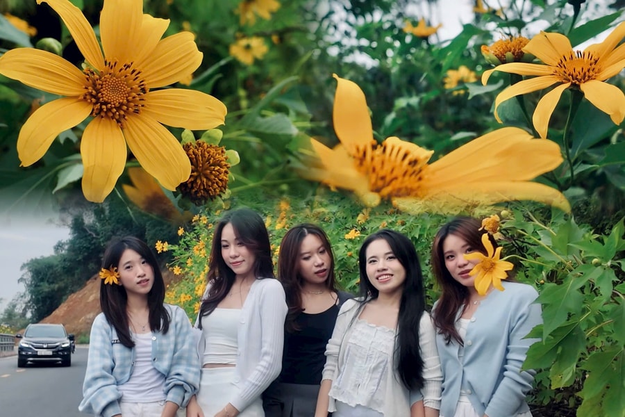 Sắc vàng hoa dã quỳ phủ kín Ba Vì, du khách đổ về check-in