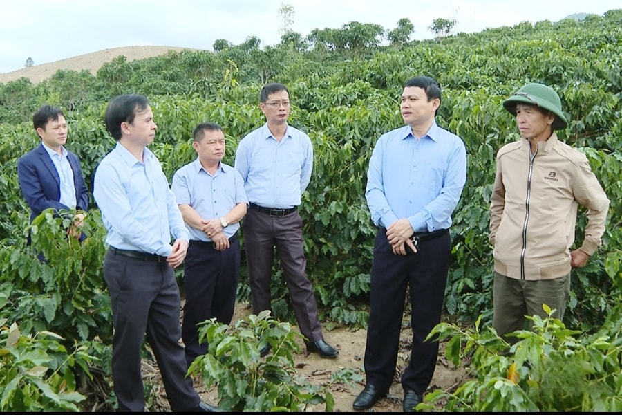 Tăng tốc giải ngân, không để đọng vốn Chương trình Mục tiêu quốc gia 1719