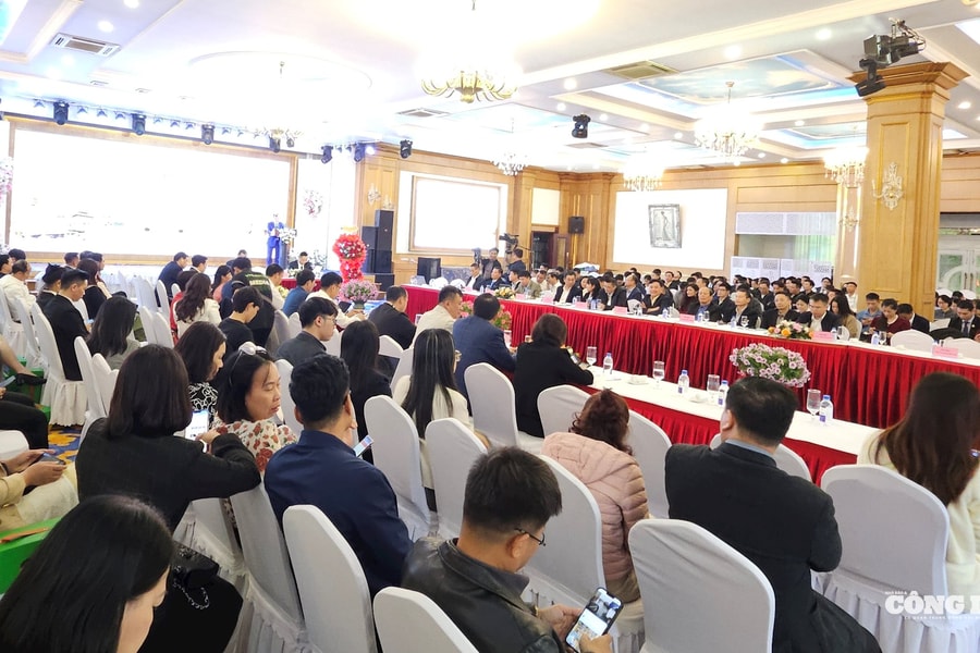 Hội nghị liên kết phát triển du lịch Hải Phòng với ngành hàng không